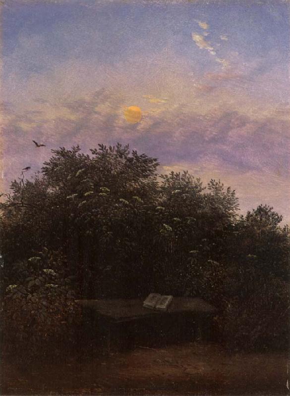 Carl Gustav Carus Blooming Elderberry Hedge in the Moonlight oil painting picture